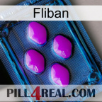 Fliban 04